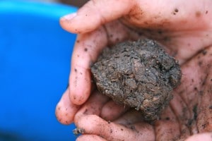 how to make seed balls