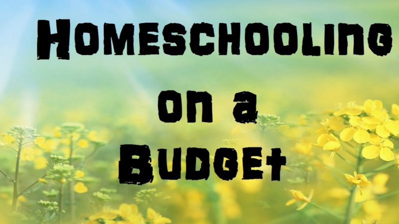Budget Homeschooling