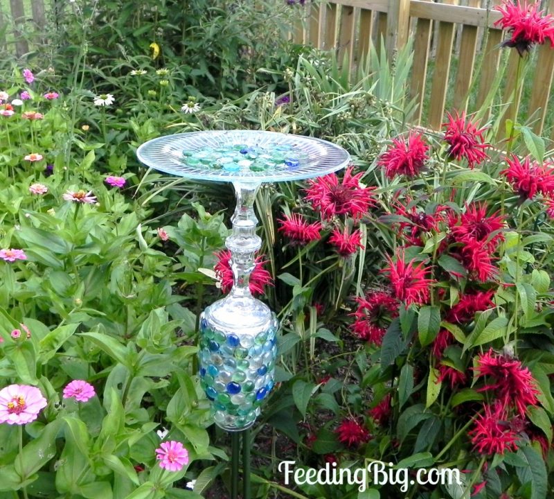 Butterfly Feeder