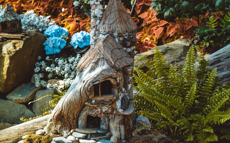 Fairy Gardens Best Plants