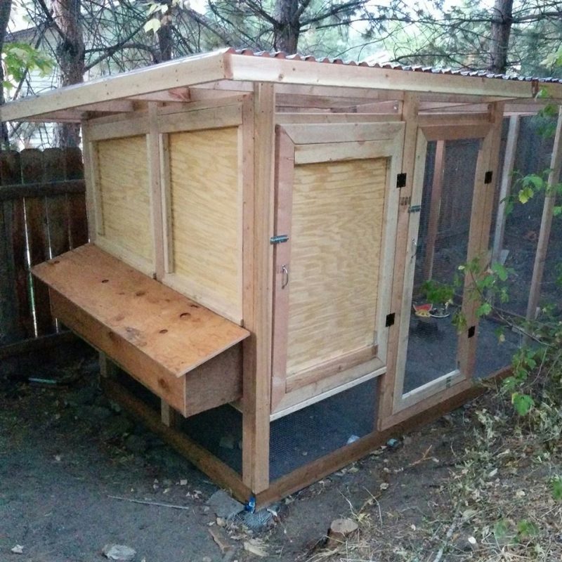 My First chicken Coop!