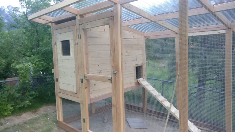 The best chicken coop plan