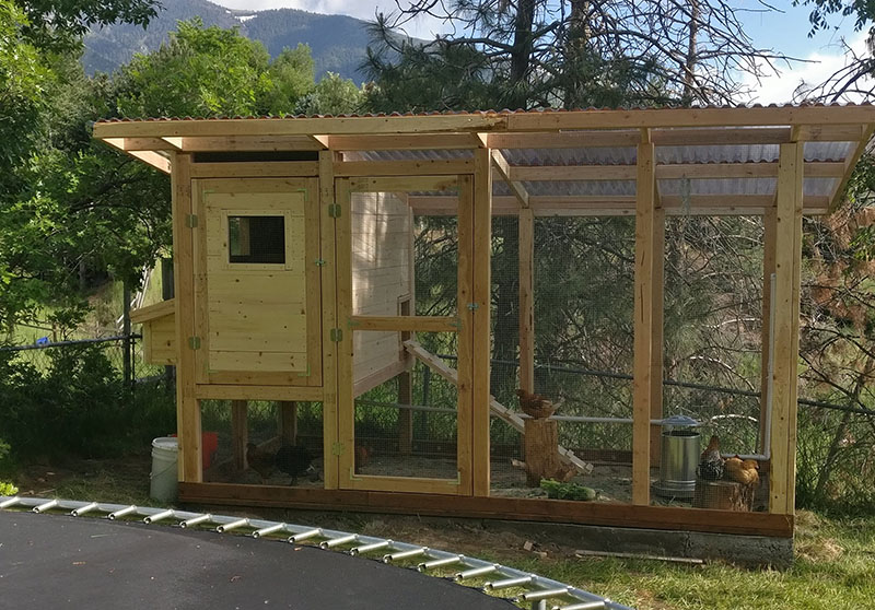 How do you build a simple chicken coop?