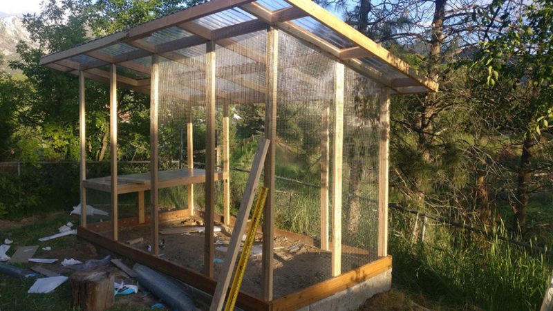 adding chicken wire to your coop is important