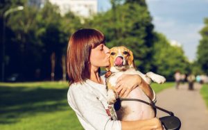 Top 10 Austin Dog-Friendly Things To Do