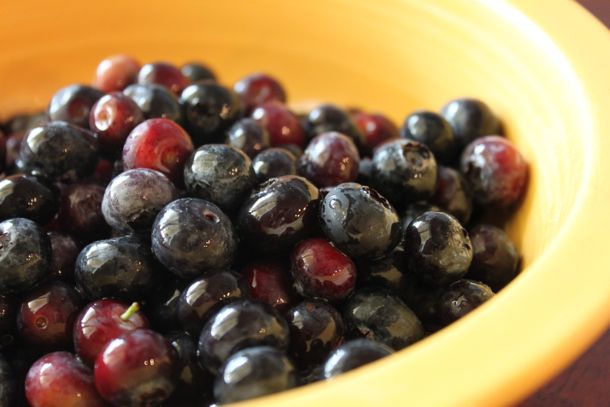 Family Time – Blueberry Picking