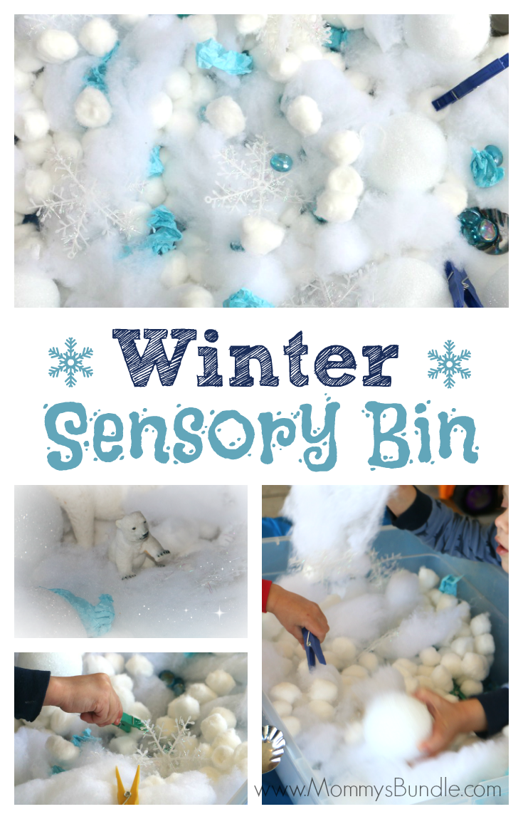 fun winter sensory bin