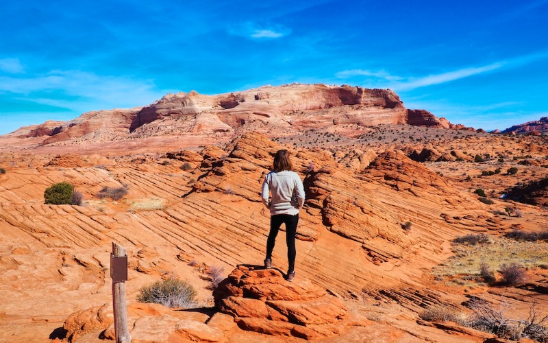 Coyote Butte Arizona