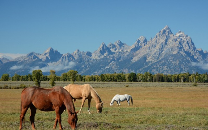 Grand Teton National Park
