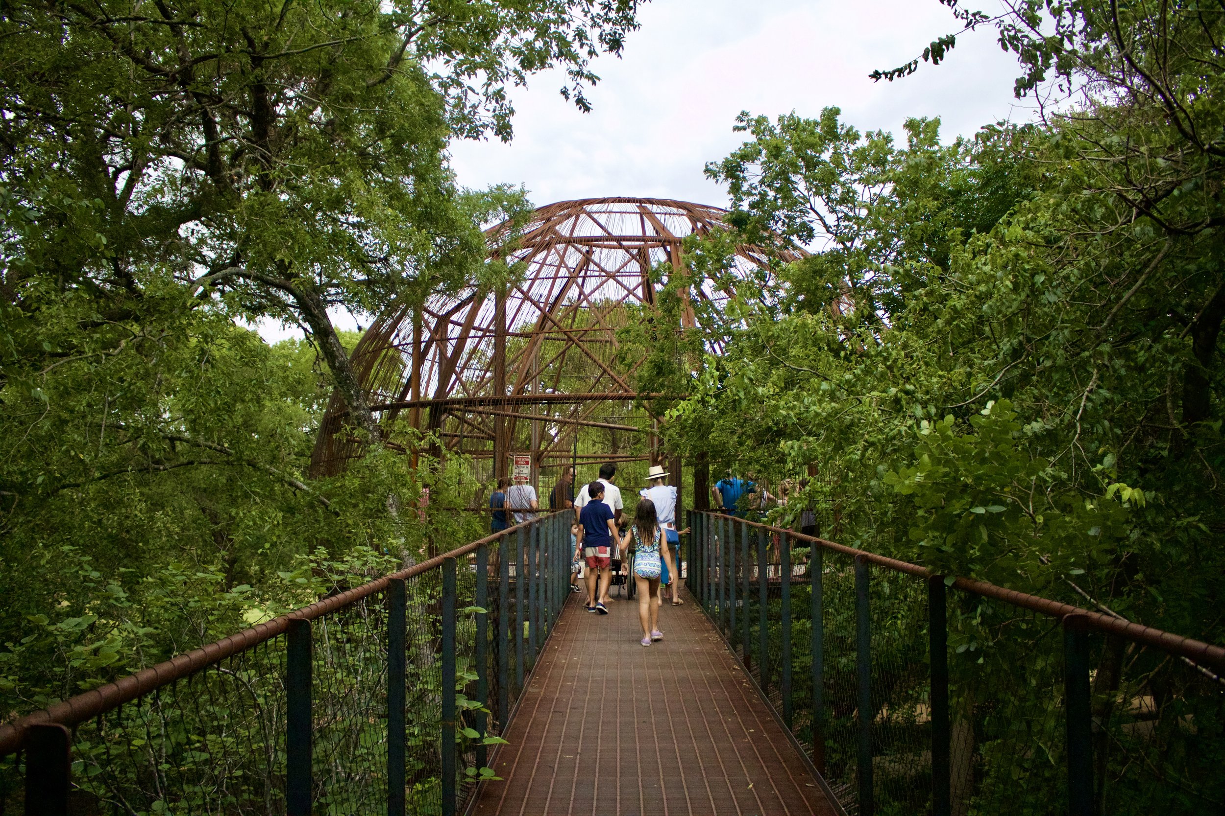 Pease Park Conservancy