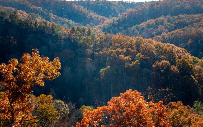 Vacationing in the Smokies