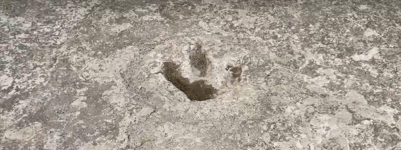 Leander TX Dinosaur Tracks