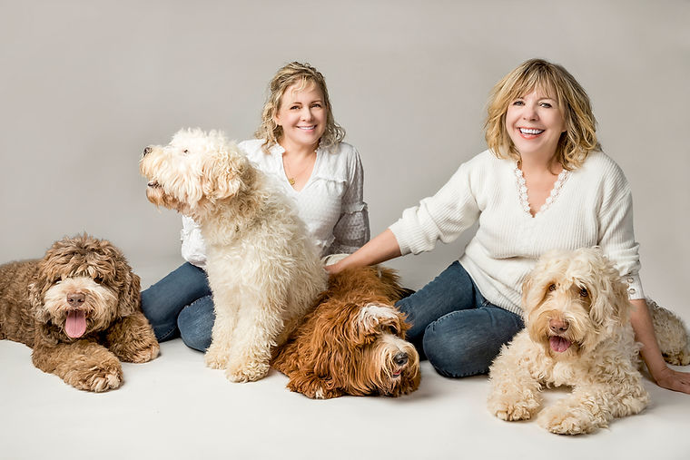 HeartRock Labradoodles HeartRock Labradoodles