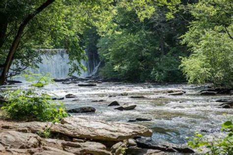 News at The Chattahoochee Nature Center