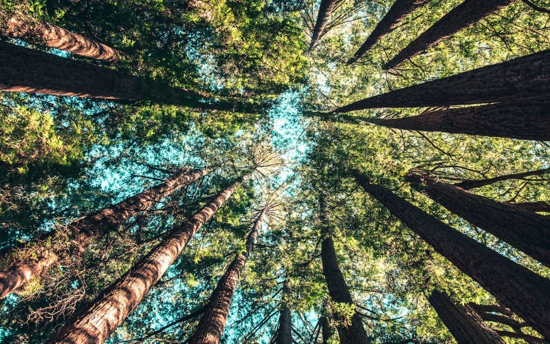 Things to do in North Atlanta