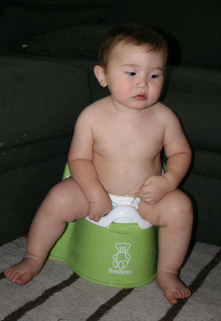 new potty chair