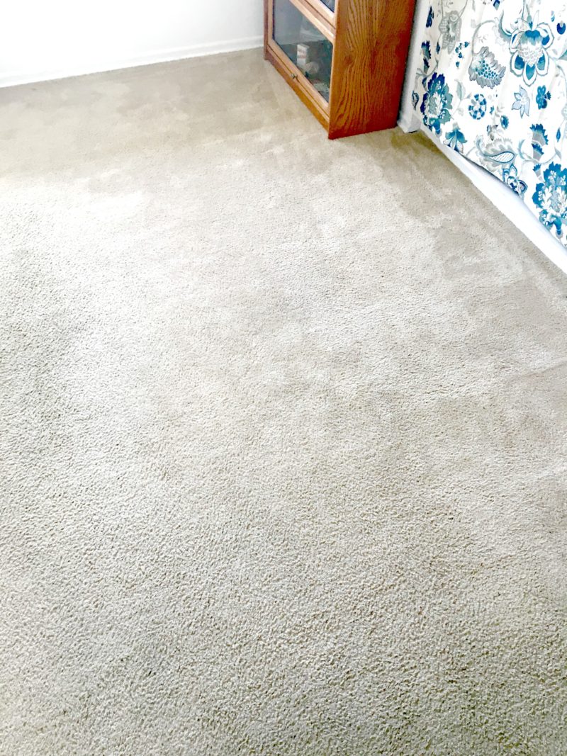 Carpet cleaning with BISSEL Big Green Carpet Cleaner Rental Carpet-Cleaning-BISSELL-Big-Green