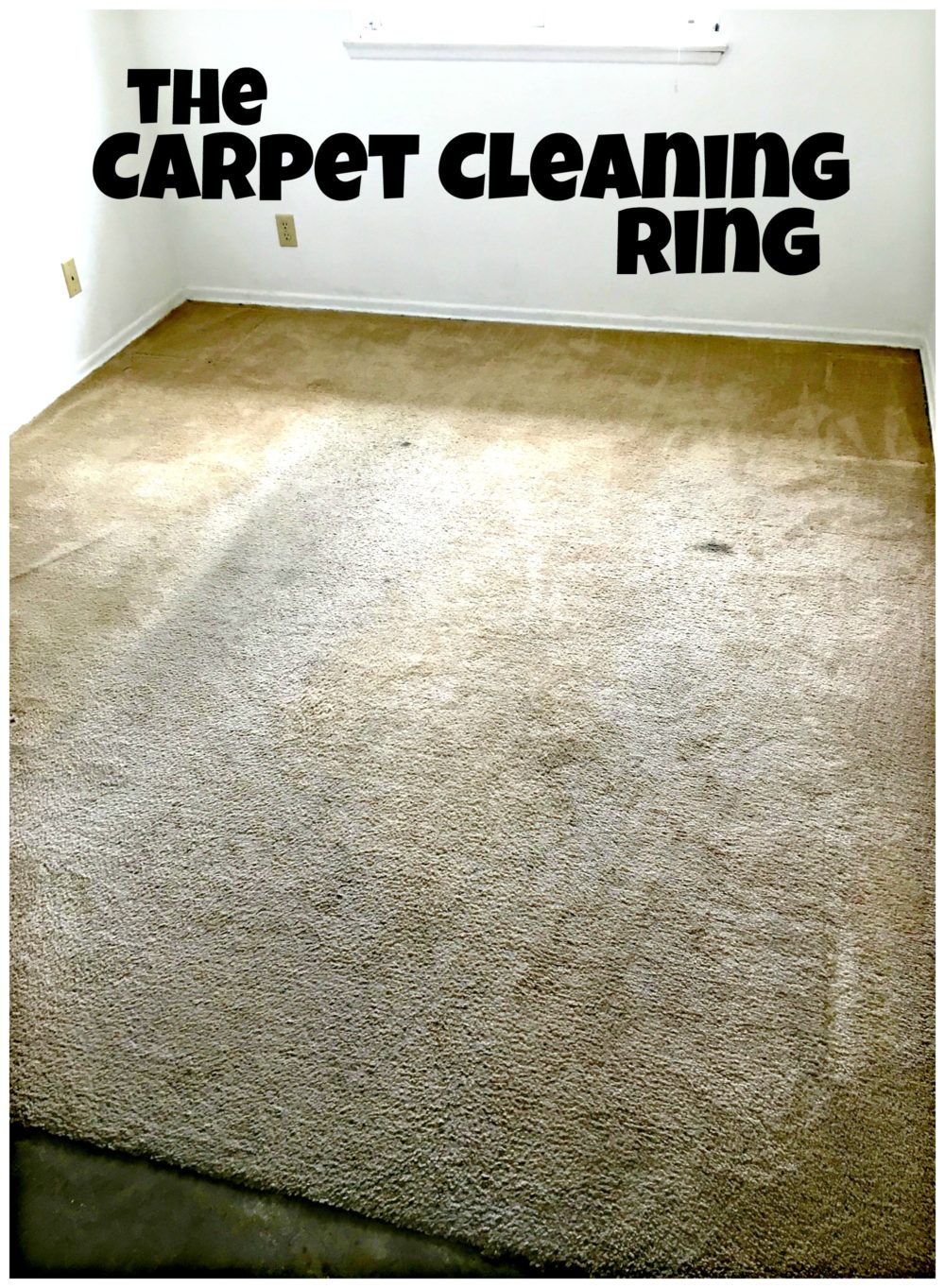 https://www.austinmoms.org/wp-content/uploads/2023/10/Carpet-Cleaning-Ring-BISSELL-Big-Green-Rug-Doctor-e1464626679323.jpg